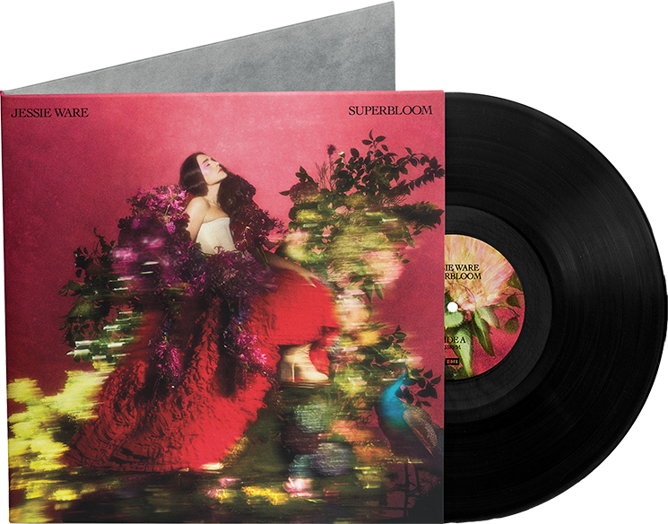 superbloom-standard-lp